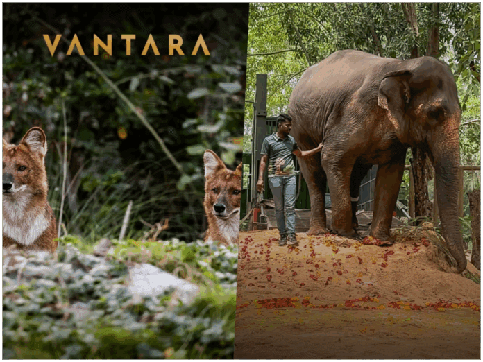 vantara, vantara statement, supreme court sit vantara prob, वांतारा केंद्र, सुप्रीम कोर्ट, अंबानी परिवार,