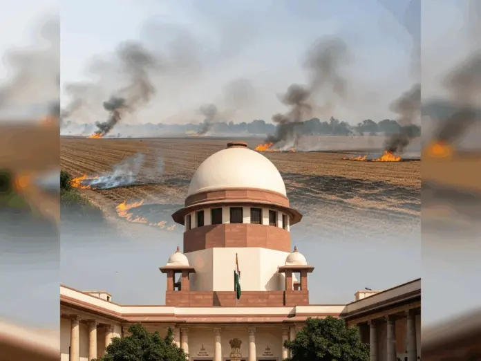 Supreme Court stubble burning, stubble burning, पराली जलाना, पराली जलाने पर सुप्रीम कोर्ट सख्त, पराली, सुप्रीम कोर्ट, प्रदूषण,