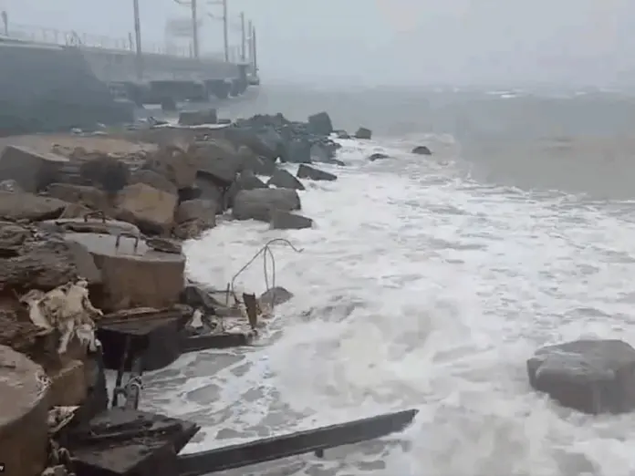 cyclone Ditwah, tamil nadu, Cylcone Ditwah red alert in tamil nadu,