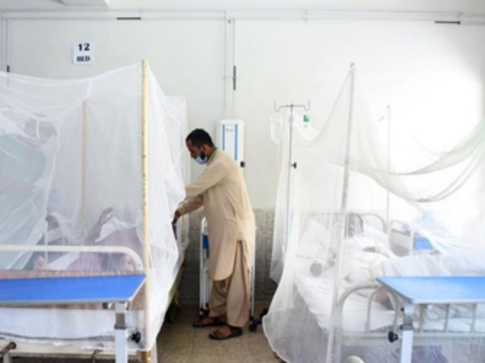 pakistan doctors are leaving country at huge level raises concerns on health facility, पाकिस्तान
