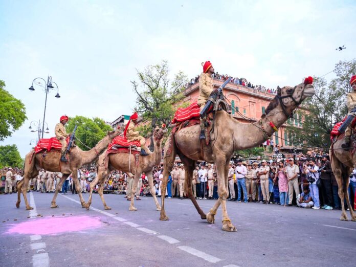 Camels (Photo- IANS)