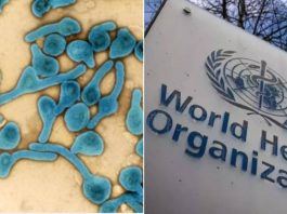 ebola new fatal virus that who declared international emergency concern