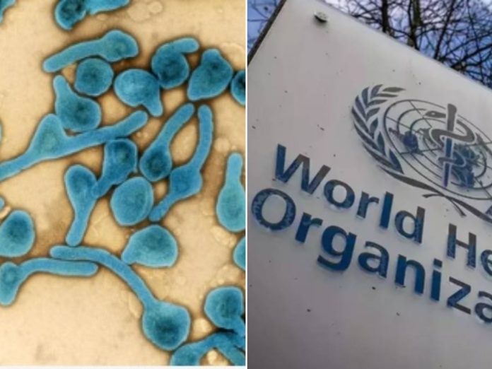 ebola new fatal virus that who declared international emergency concern