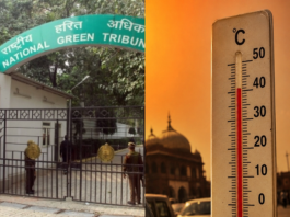ngt takes suo moto cognizance extreme heatwave crisis across india, एनजीटी