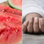 not watermelon zinc phosphide cause death of four family members what to get in forensic report, मुंबई, तरबूज