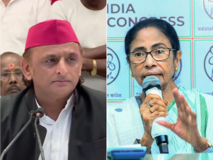 samajwadi-party dropped ties with i pac after defeat of mamata in west bengal, सपा, आई-पैक, तमिलनाडु, पश्चिम बंगाल