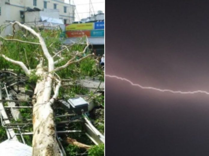 uttar-pradesh-thunderstorm causes more than 100 lives what led this situation, उत्तर प्रदेश