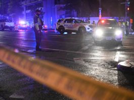 white house shooting