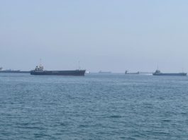 Oil falls as supply starts moving through Strait of Hormuz, स्ट्रेट ऑफ होर्मुज