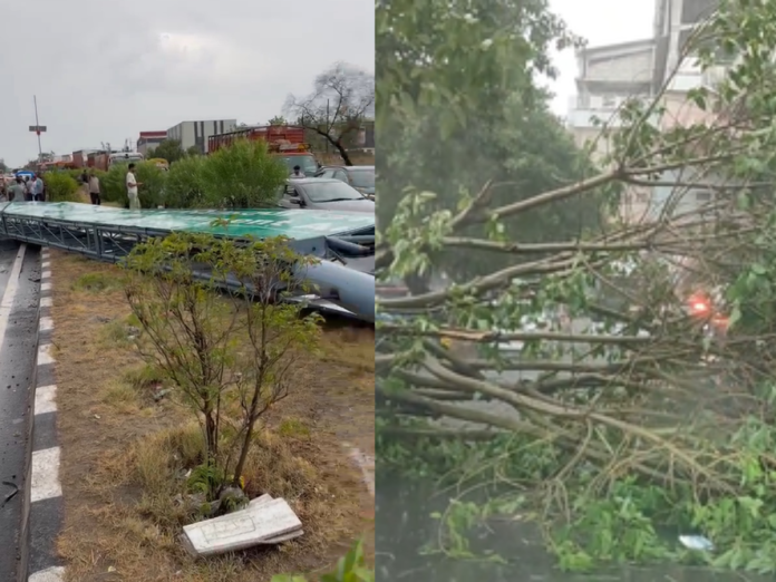 delhi-ncr-thunderstrom-uprooted rescue operation continue-400-trees, दिल्ली-एनसीआर