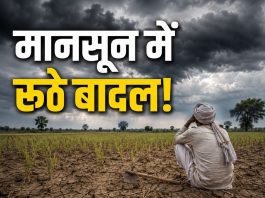 mansoon updates