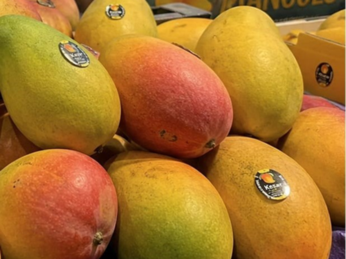nepal-bans-import-of-indian-mangoes-express-concerns-related-to-pesticides-and-quarantine, नेपाल