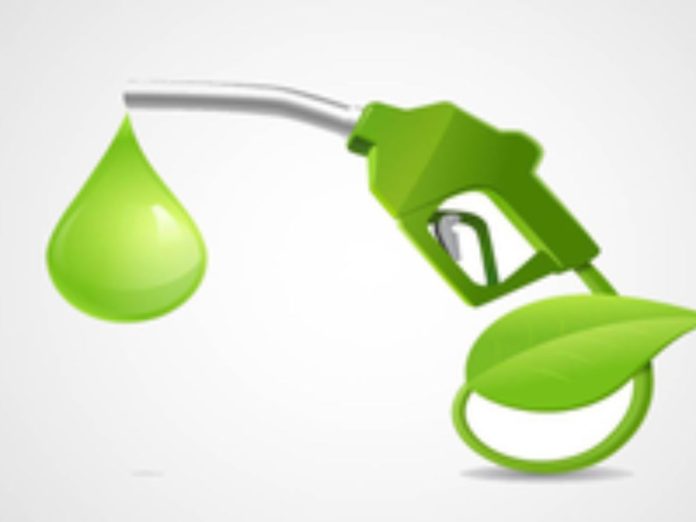 E20 petrol received approval only after testing on older vehicles what did the experts say