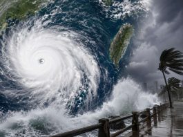 Typhoon Bavi, Typhoon Bavi update, Typhoon Bavi news, india Typhoon Bavi