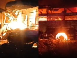 delhi mumbai expressway collide between bus and trailer truck 8 dead several injured 1, दिल्ली-मुंबई एक्सप्रेसवे