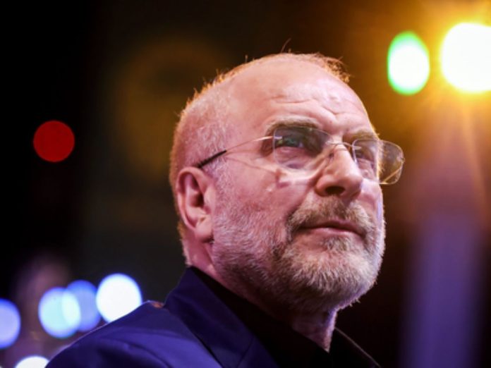 Man with glasses and gray beard looking upward on stage with colorful stage lights in the background, nighttime concert vibe.