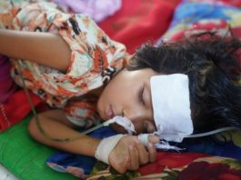 CHANDIPURA VIRUS, चांदीपुरा वायरस