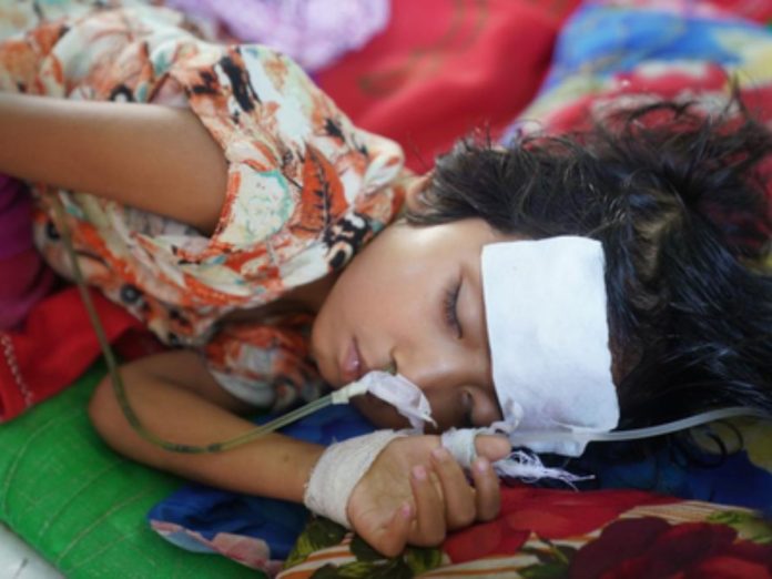 CHANDIPURA VIRUS, चांदीपुरा वायरस