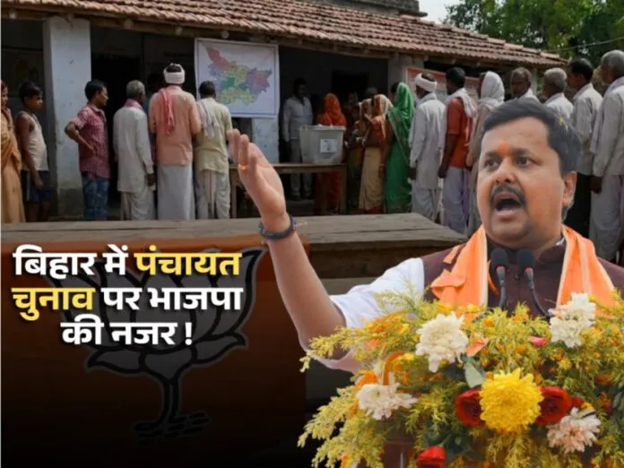 bihar panchayat chunav, BJP, Nitin Nabin, Bihar news,